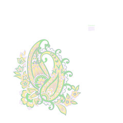 Fototapeta na wymiar Floral isolated pattern with paisley ornament.