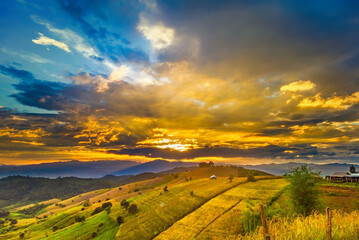 Panorama Aerial View of Pa Bong Piang terraced rice fields at sun set time, Mae Chaem, Chiang Mai Thailand.