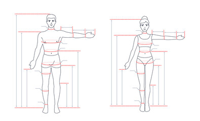 An adult human body size chart. Measurements for tailoring clothes. A measure of a man, a woman. People standing in a full length with one arm spread out. A vector outline contour illustration.
