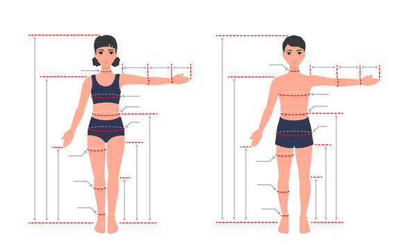 A child's body size chart. Measurements for tailoring clothes. Children anatomy. A measure of a kid. A girl, a boy standing a full length with one arm spread out. A vector cartoon illustration.