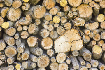 Circular logs of firewood stacked and piled artistically ready to provide warmth for winter.