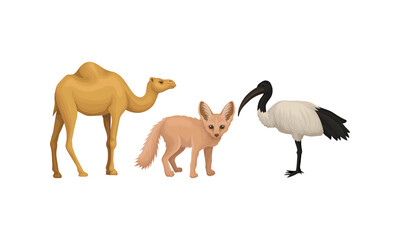 Desert Animals with Camel and Fennec Fox Vector Set