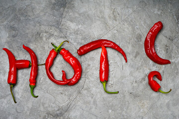 spiky chilli lined word hot with exclamation mark on gray background
