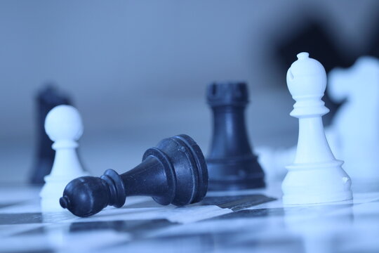 chess pieces on the board