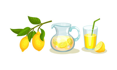 Lemon Juice in Glass with Straw and Refreshing Drink in Jar Vector Set