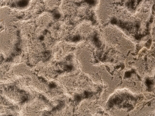 Corrugated paper fiber at close up