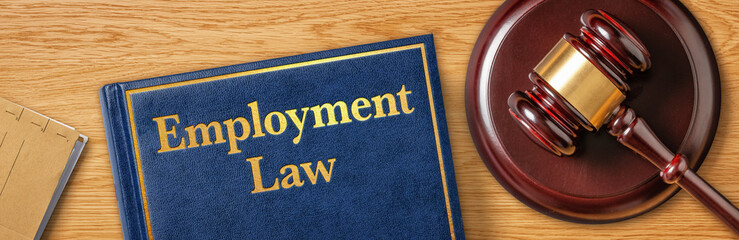 A gavel with a law book - Employment Law