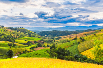 Panorama Aerial View of Pa Bong Piang terraced rice fields, Mae Chaem, Chiang Mai Thailand.