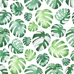 Watercolor hand drawn seamless pattern with houseplant monstera leaves. Indoor flowers colorful texture. Tropical Exotic houseplants in flowerpots. Creative textile, wallpaper, wrapping paper design.