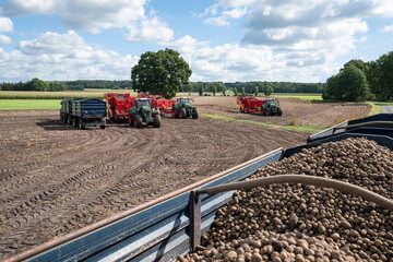 Kartoffelernte -  Moderne Kartoffelroder auf dem Kartoffelfeld im Ernteeinsatz