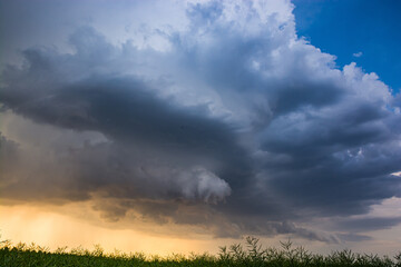 Shelfcloud bringing summer storm above field near Prague