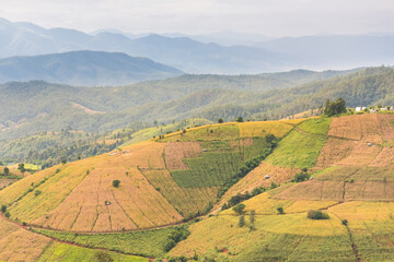 Panorama Aerial View of Pa Bong Piang terraced rice fields, Mae Chaem, Chiang Mai Thailand.