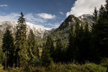 Alpen Panorama mit schneebedeckten Gipfeln, herbstlicher Bergwald bei Füssen, König Ludwig...