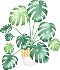 Fototapeta premium Watercolor House Plants, house interior trendy decor. Indoor Plants Planner Elements. Monstera, Boho Home Decor Clipart. Home Green Garden.