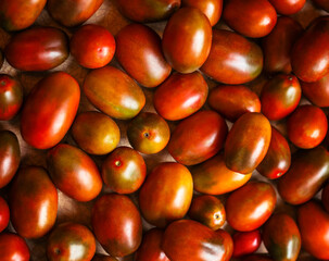 Small plum-shaped tomatoes of the black plum variety