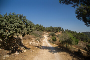 Fototapeta premium Dirt road on the Mountain of Winds, Ein Nataf, Jerusalem area, at day.