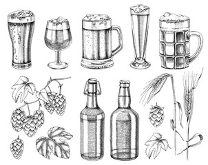 Hand drawn beer set. Sketched design elements.