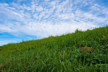 autumn blue sky and one side of grass
