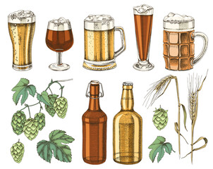 Hand drawn beer set. Sketched design elements.