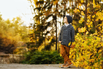 Portrait of trendy little boy posing at golden autumn October park background.
