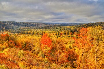 Fototapeta premium Autumn in the Gauja National Park in Latvia, Baltic States, Europe