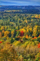 Fototapeta premium Autumn in the Gauja National Park in Latvia, Baltic States, Europe