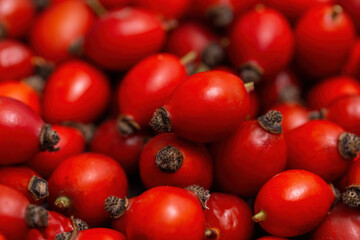 Freshly picked a pile of rose hips, rosa canina, in autumn in detail. Background from wild red berries. Heap of raw vitamin antioxidant fruit in close-up.