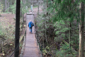 A man in a blue jacket with a backpack walks along the suspension bridge in the forest. Wildlife...