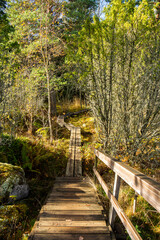 View of The Aurinkopolku wooden trail in autumn, Siuntio, Finland