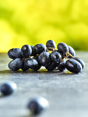bunch of black grapes, lying on a gray background, behind it are beautiful blurred greens