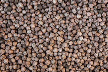 A lot of grey Circassian walnuts in the shell