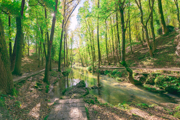 nacimiento del rio Ebro en España