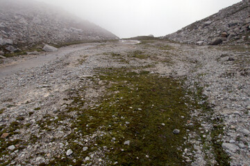 Alpine stream from a glacier in foggy weather. Kabardino-Balkarian natural reserve. Caucasus, Russia.