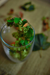 Glass vase stands on the sack, in it tangerines and leaves around, the view from above (without cover).