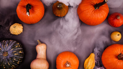Pumpkin autumn halloween scenery table top view, surrounded by misty fog. Top view with different kinds of pumpkins. Bright thanksgiving scene.