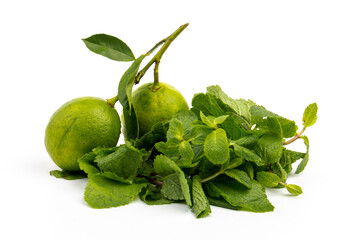 Lime with mint leaves isolated on white background.