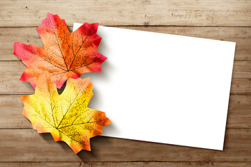 Autumn maple leaf and empty white paper