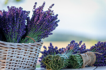 Fresh flowers of lavender bouquet.