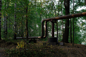 Rusty brown curved metal iron pipes among trees with green foliage in autumn forest. Russia