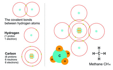 Diagram of the covalent bonds between hydrogen and carbon