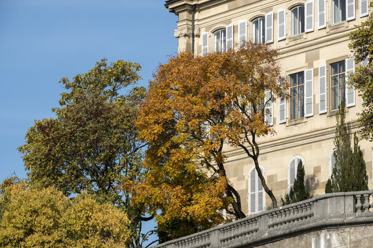 autumn foliage in the parc of Bastions in Geneva, switzerland