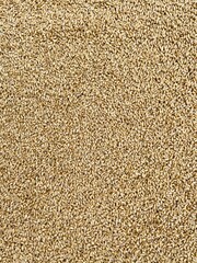 Brownish yellow wheat background pattern 