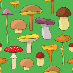 illustration with different mushrooms. seamless vector pattern