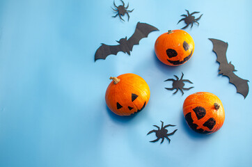 Halloween decoration pumkins on blue background