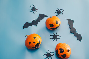 Halloween decoration pumkins on blue background