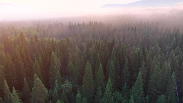 Forests and mountains of the Southern Urals near the village of Tyulyuk in Russia. Drone view.