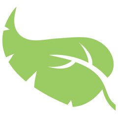 
A leaf with compound structure is ash leaf 
