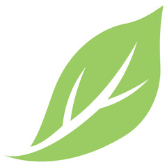 
A leaf with compound structure is ash leaf 
