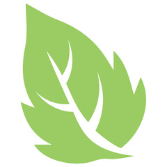 
A leaf with compound structure is ash leaf 
