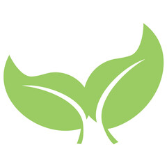 
Two common leaves placed together as two components to show bipartite leaf concept 
